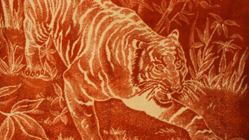 ¡Saca la del Tigre! Conoce el origen de ésta peculiar ropa de CAMA, popular en INVIERNO: FOTOS