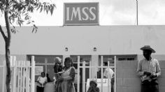 ¿Cómo y cuándo fue que surgió el IMSS?