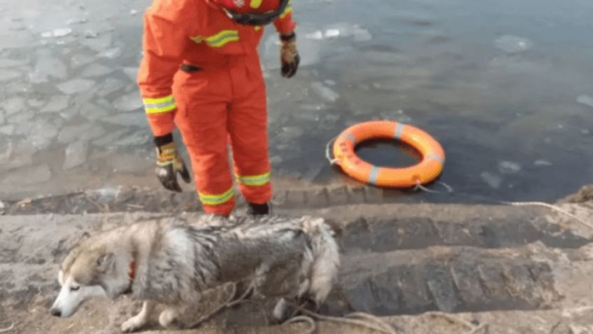 VIDEO VIRAL: Perrito es salvado de morir ahogado en un lago congelado de China