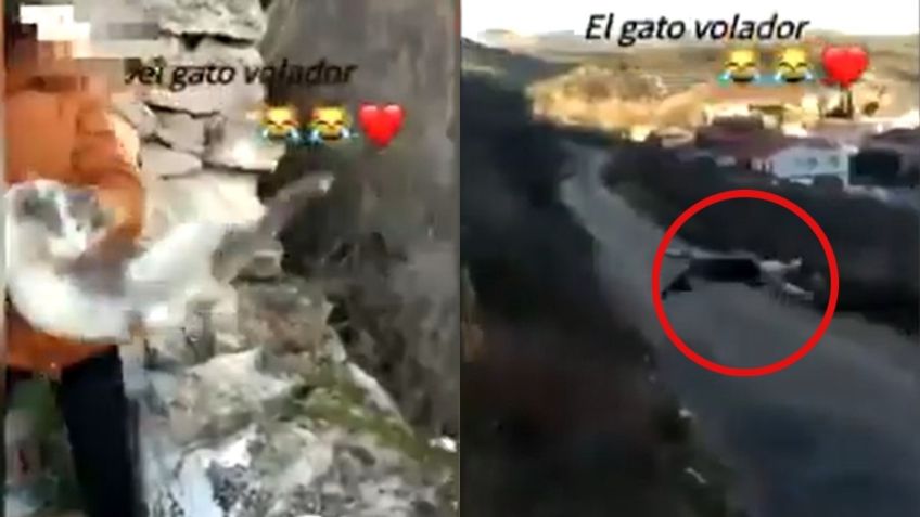 VIDEO VIRAL: Al ritmo del “gato volador” joven avienta a gatita por un barranco, solo por ganar seguidores