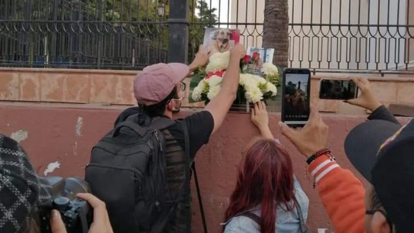 Muere CAPITÁN, un perrito de la calle en Culiacán; así fue su último adiós: FOTOS