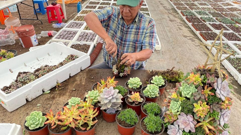 ISRAEL JIMÉNEZ. Emprendedor de Xochimilco que vende por Facebook. Foto: Moisés Rosas