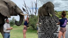 Mujer fitness se cuelga de los colmillos de un elefante para hacer ejercicio, desata polémica: FOTO