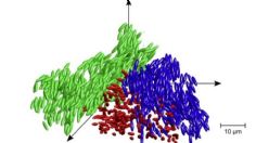 El vidrio líquido, el nuevo estado de la materia