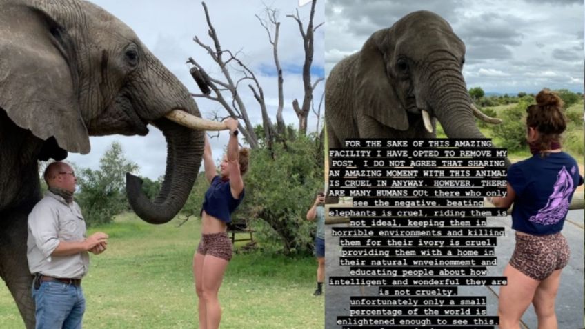 Mujer fitness se cuelga de los colmillos de un elefante para hacer ejercicio, desata polémica: FOTO