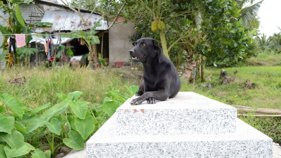 2 de sus 3 años de edad los ha pasado junto a la tumba del pequeño Keth. Foto: EFE