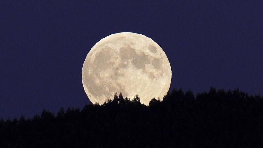 Luna Lobo: ¿Qué es y dónde verla EN VIVO en enero?