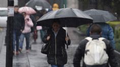 Clima en México: En su día, la BANDERA va a ONDEAR con FUERTES VIENTOS este 24 de febrero