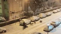 VIDEO VIRAL: Tormenta de nieve en España logra que funcione un Trineo jalado por ¿Perros?