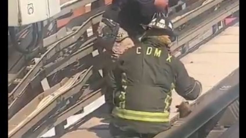 Bomberos y policías le salvan la vida a PERRITO que cayó a las vías del Metro: VIDEO