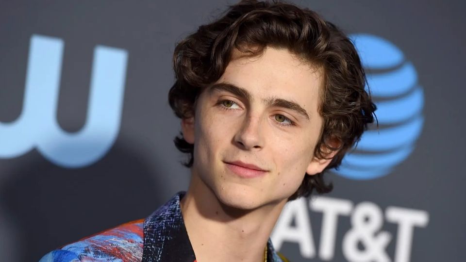 Timothee Chalamet Foto: Especial / Agencia México