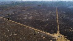 Acusan a Bolsonaro por destruir la Amazonia ante Corte Penal Internacional