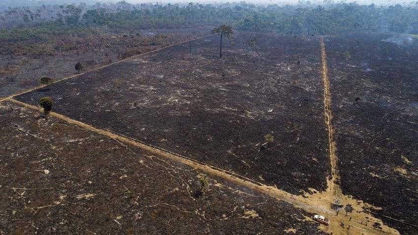 Acusan a Bolsonaro por destruir la Amazonia ante Corte Penal Internacional