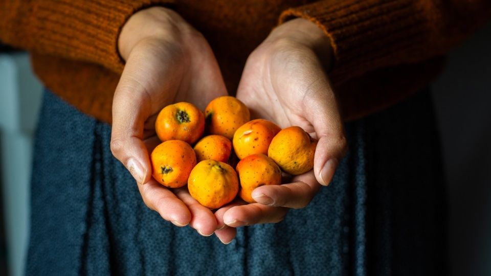 Los tejocotes también son conocidos con el nombre 'manzanita de indias'. Foto: Freepik