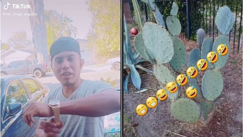 El usuario de TikTok 'Mi Chuy Aquino' insultó a los mexicanos por comer nopales. Foto: Especial