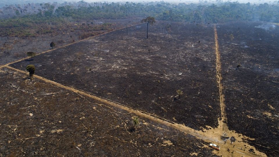 ONG Denuncia al mandatario de destruir la amazonia. Foto: AP
