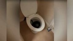 ¡Qué susto! Mujer se encuentra una enorme serpiente atascada en su baño