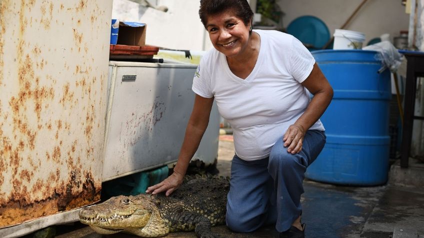 Al tener animales silvestres, peligran mascotas y humanos