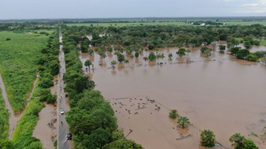 Huracán Pamela: Recomiendan a productores aprovechar humedad que dejaron las lluvias