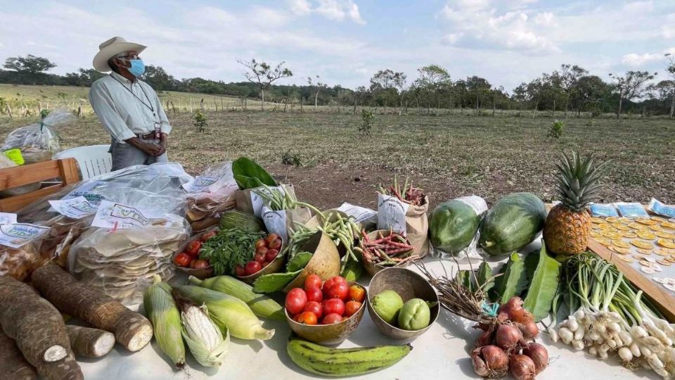 META. Se pretende preservar más de 100 mil especies de flora y fauna. Foto: Cuartoscuro