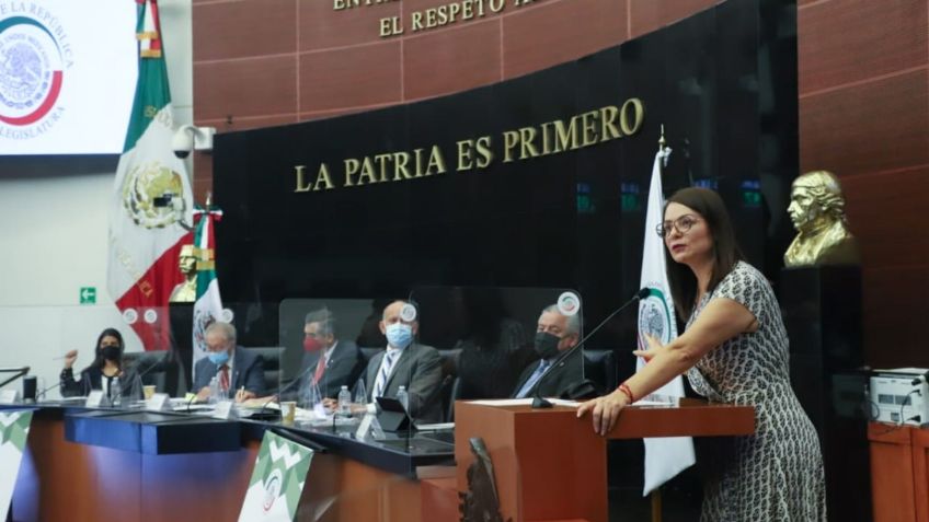 Senadora Nuvia Mayorga llama al Gobierno Federal a garantizar el derecho a la protección de la salud de las y los mexicanos