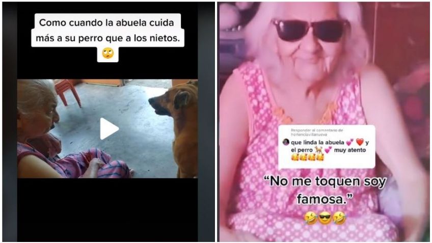 Abuelita regaña a su perrito y enternece las redes sociales | VIDEO