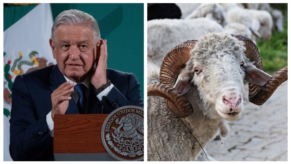 Imitó el sonido de un borrego en plena conferencia. Foto. Especial