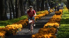 Conoce la cartelera de actividades por día de muertos que podrás disfrutar en Miguel Hidalgo