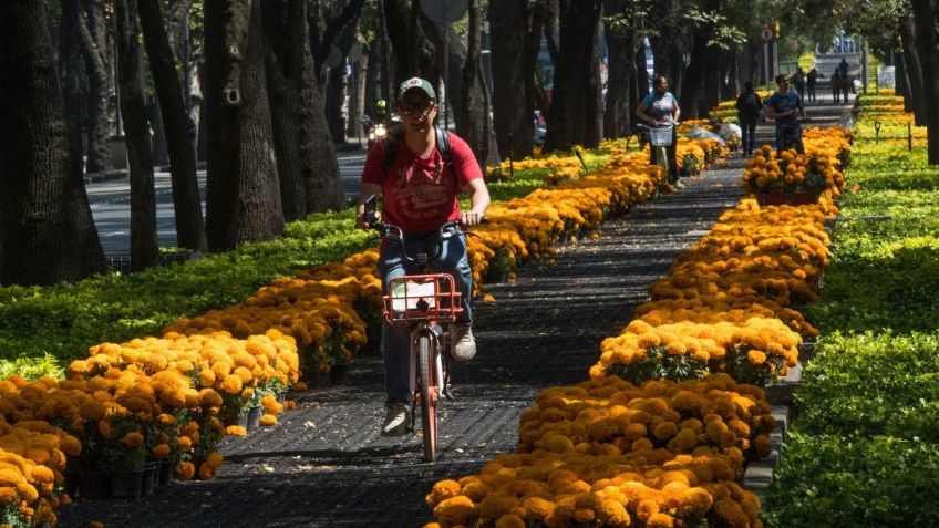 Conoce la cartelera de actividades por día de muertos que podrás disfrutar en Miguel Hidalgo