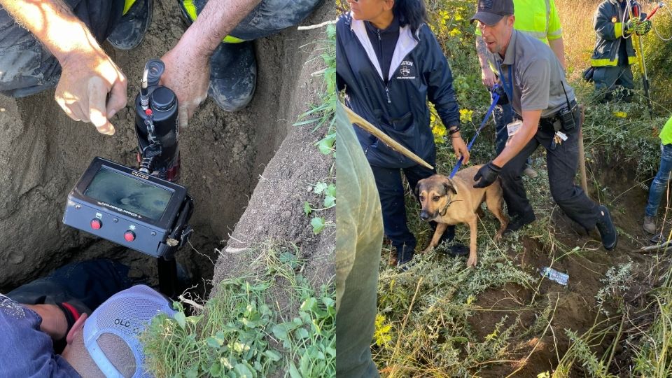 El rescate del perro duró dos horas y media (Foto: Twitter@BostonFire)