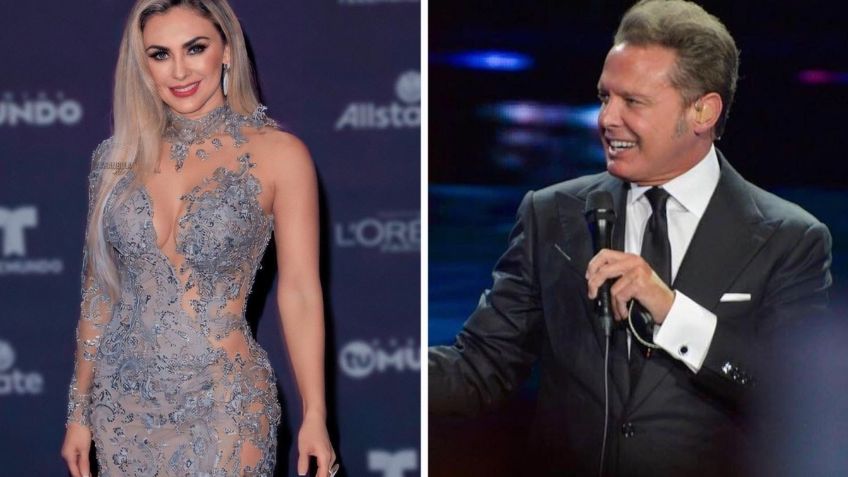 Hijo de Luis Miguel y Araceli Arámbula sufriría inestabilidad emocional por acoso de la prensa