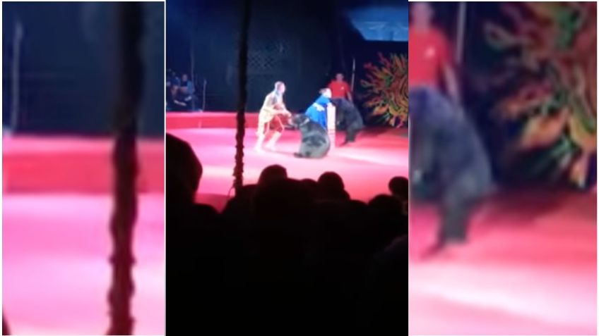 Asistentes al circo se horrorizan por ataque de un oso a su entrenadora en Rusia | VIDEO