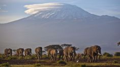 Por cambio climático, glaciares de África mueren y afectarán a 100 millones de personas en 2040