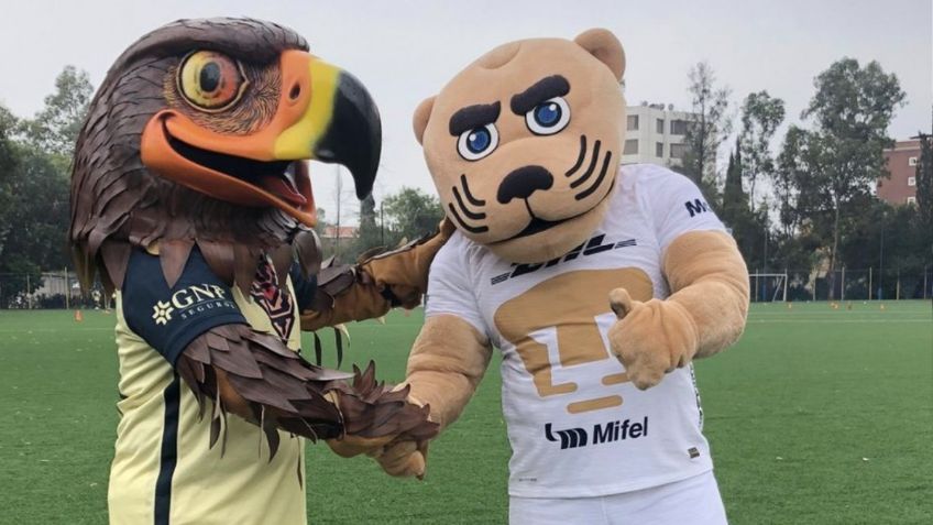 Medios, periodistas y actores se suman a llamado de ONU en América-Pumas