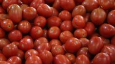 EU frena importación de tomate de compañía mexicana por estas razones