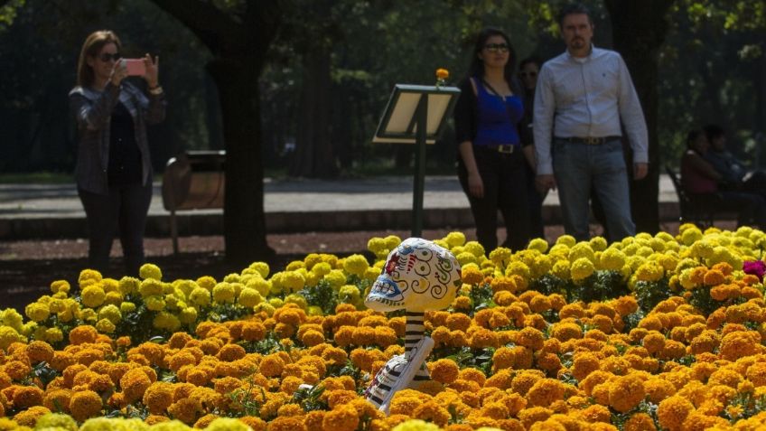 Festival de Flores de Cempasúchil en la CDMX es GRATIS, así puedes acudir este fin de semana