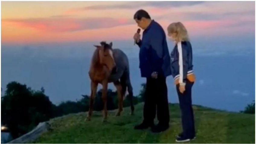 ¡"Diálogos de altura"! Nicolás Maduro platica con un caballo