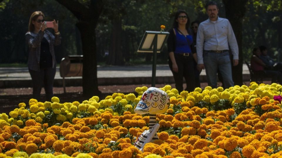 A solo diez días de que inicien las festividades del 'Día de Muertos' la capital del país se llena del color y del olor de esta distintiva flor. FOTO: Cuartoscuro