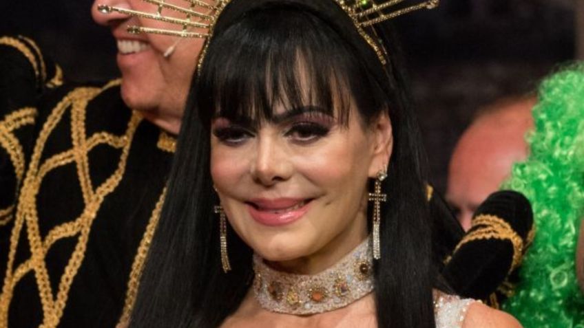 Reaparece Sadie, el perrito de Maribel Guardia que desató MEMES por lucir descuidado