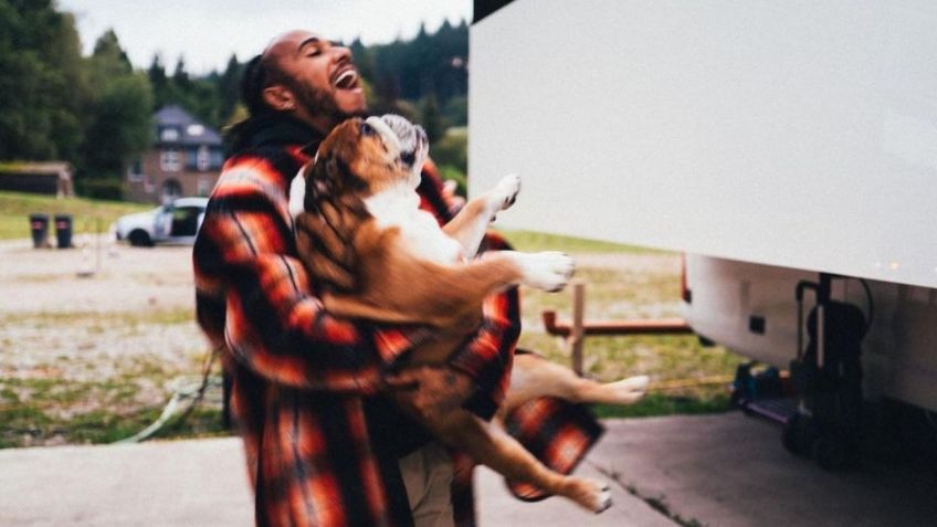 Lewis Hamilton podría ir a prisión; lo denuncian por hacer vegano a su perro