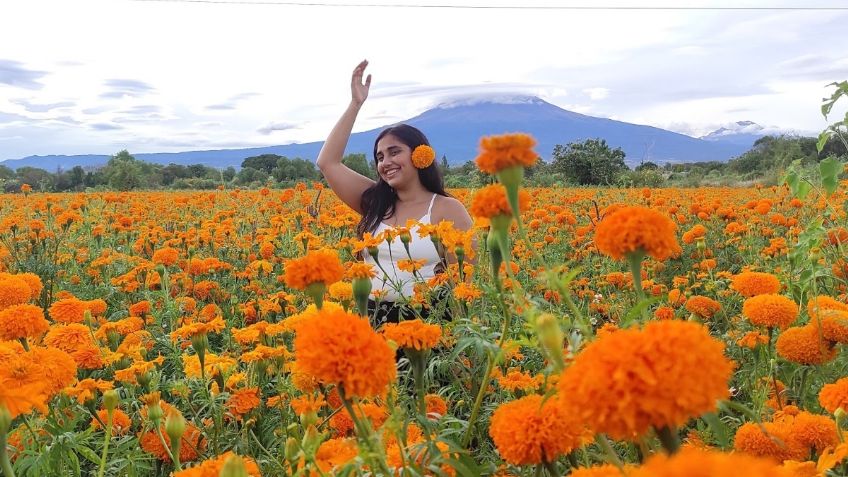 Flor de Cempasúchil, uno de los tesoros mejor guardados de Puebla, ¿conoces sus campos?