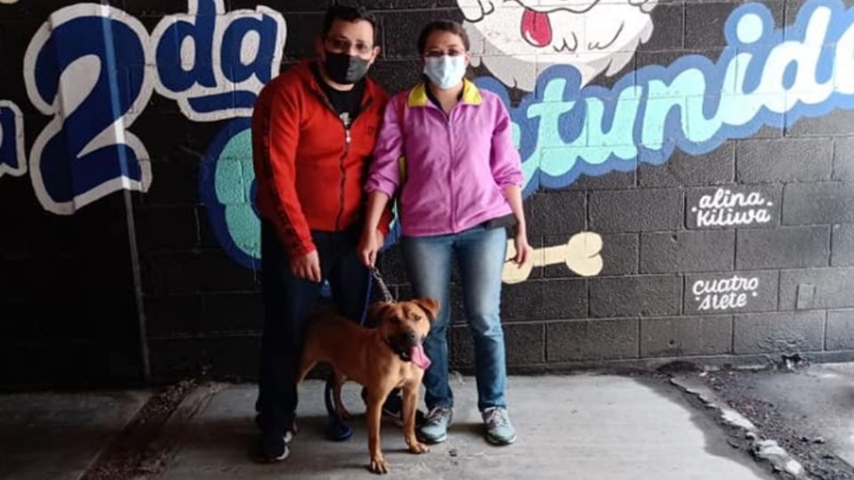 Algunos de los voluntarios terminando dando una oportunidad a los perritos y los adoptan. Foto: Facebook