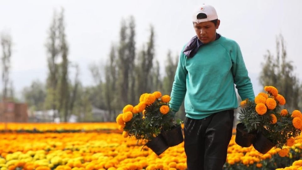 La venta de flores será una de las más beneficiadas durante el Día de Muertos en la CDMX. Foto: Especial