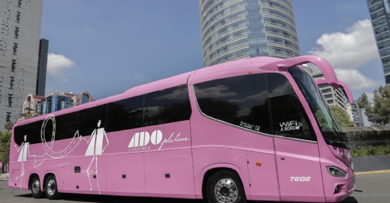 Autobús de Galería Rodante Rosa