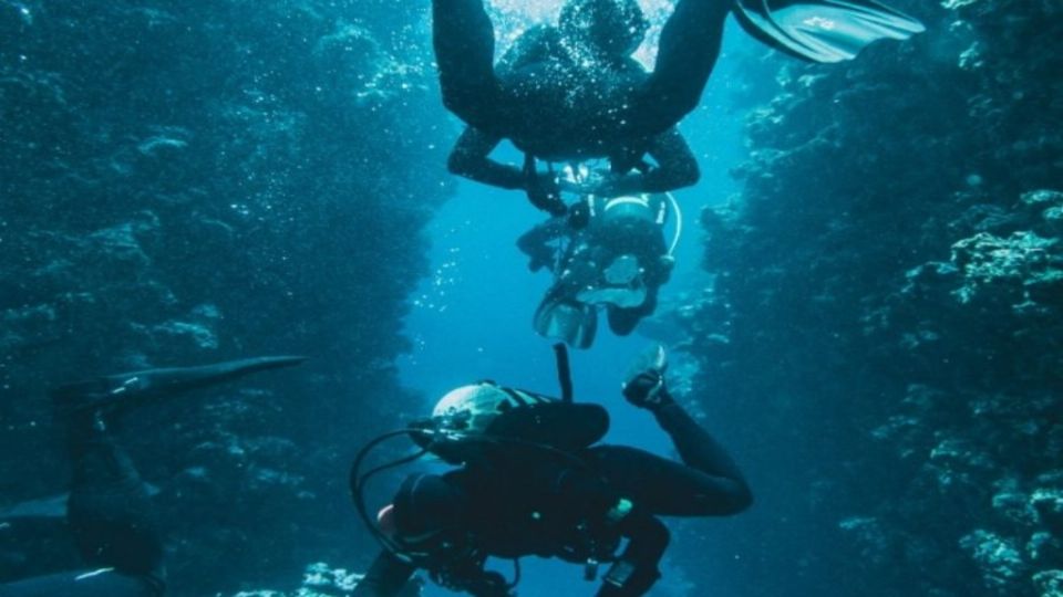 A través del buceo, Gustavo Cárdenas, quiere impulsar más acciones para hacer que los jóvenes comprendan la importancia de proteger al planeta. FOTO: ESPECIAL