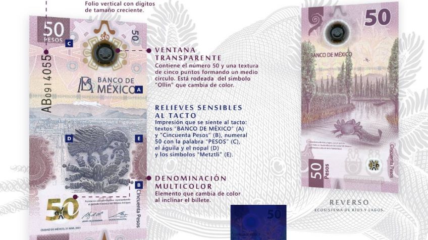 ¡Qué bello es! Presentan el NUEVO BILLETE de 50 pesos; es infalsificable