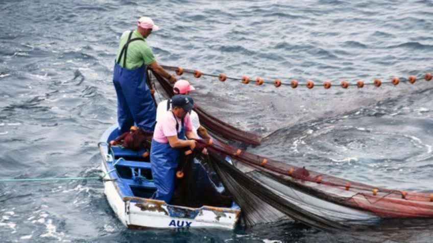 Pescadores de Sinaloa dan su voto de confianza a nueva Secretaria del Ramo