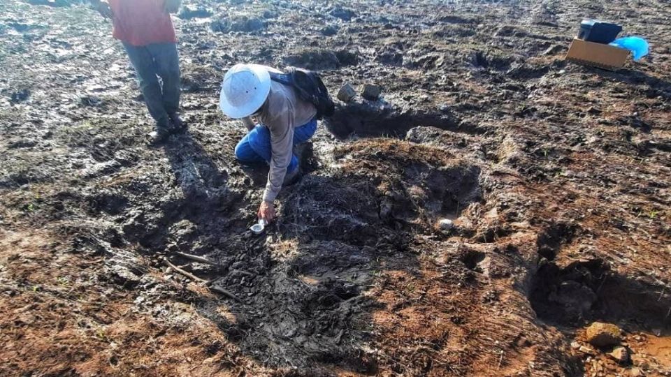 Descubren en Nayarit vestigios prehispánicos tras paso de Huracán Pamela (Foto: Especial)