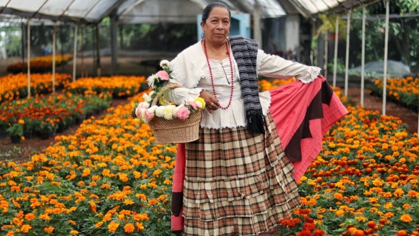 Puebla busca colocarse como líder en la venta de flores de cempasúchil