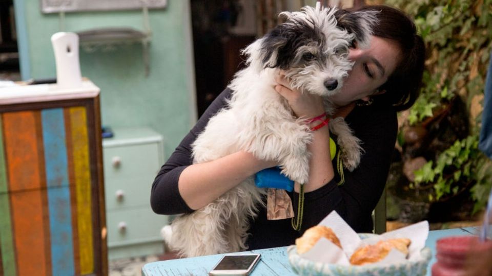 Prepara a tu perro o a tu gato para disfrutar de un delicioso pan de muerto en estos lugares pet friendly. Foto: Especial